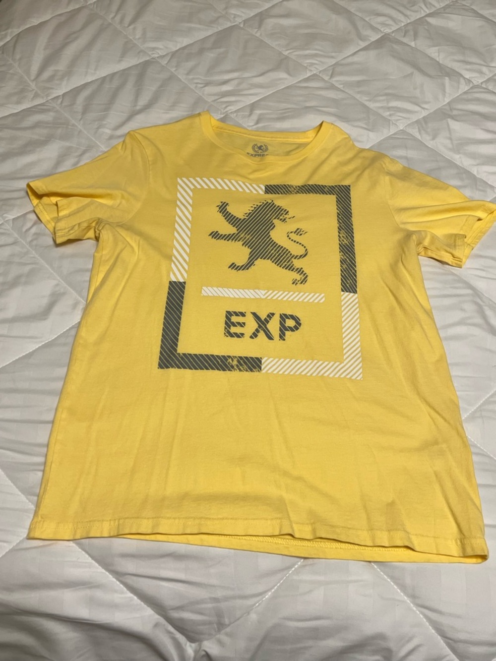 Express Boys' Yellow Graphic Tee with Lion Crest